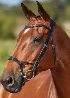 WEATHERBEETA Collegiate® ComFiTec™ Training Bridle