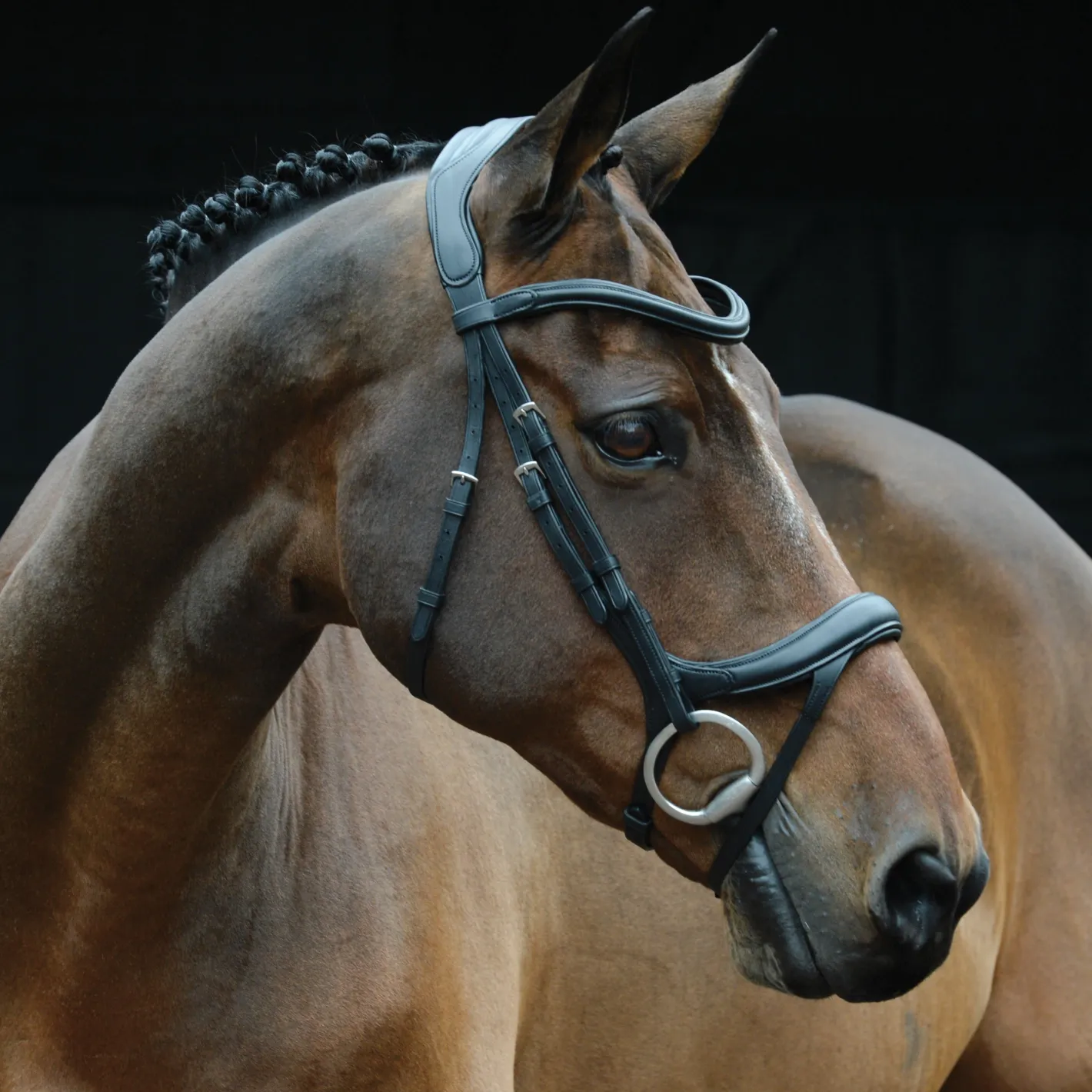 WEATHERBEETA Collegiate® ComFiTec™ Vogue Anatomic Bridle