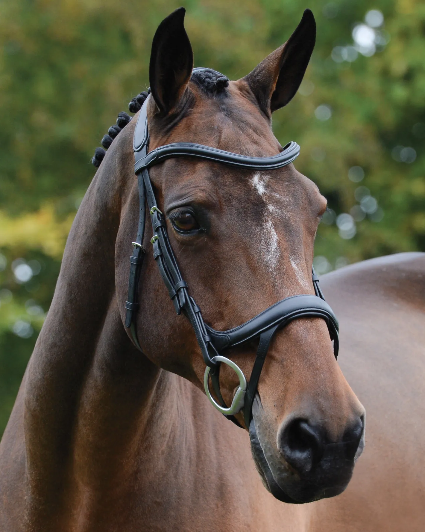 WEATHERBEETA Collegiate® ComFiTec™ Vogue Anatomic Bridle
