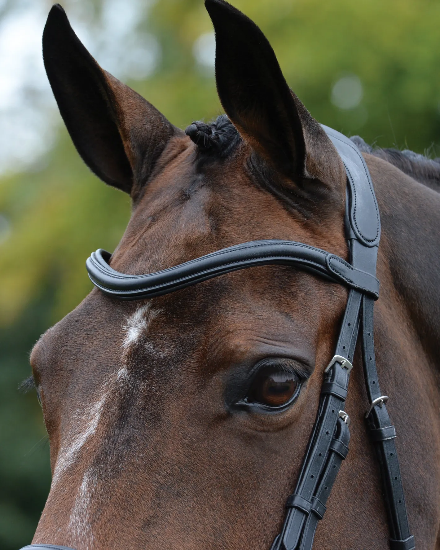 WEATHERBEETA Collegiate® ComFiTec™ Vogue Anatomic Bridle
