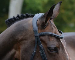 WEATHERBEETA Collegiate® ComFiTec™ Vogue Anatomic Bridle