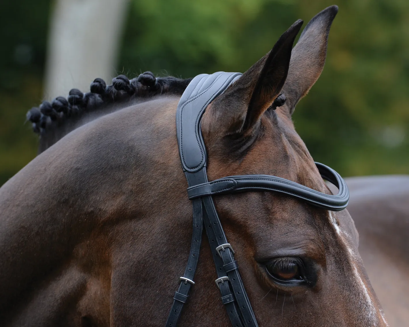 WEATHERBEETA Collegiate® ComFiTec™ Vogue Anatomic Bridle