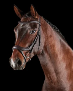 WEATHERBEETA Collegiate® ComFiTec™ Vogue Anatomic Bridle
