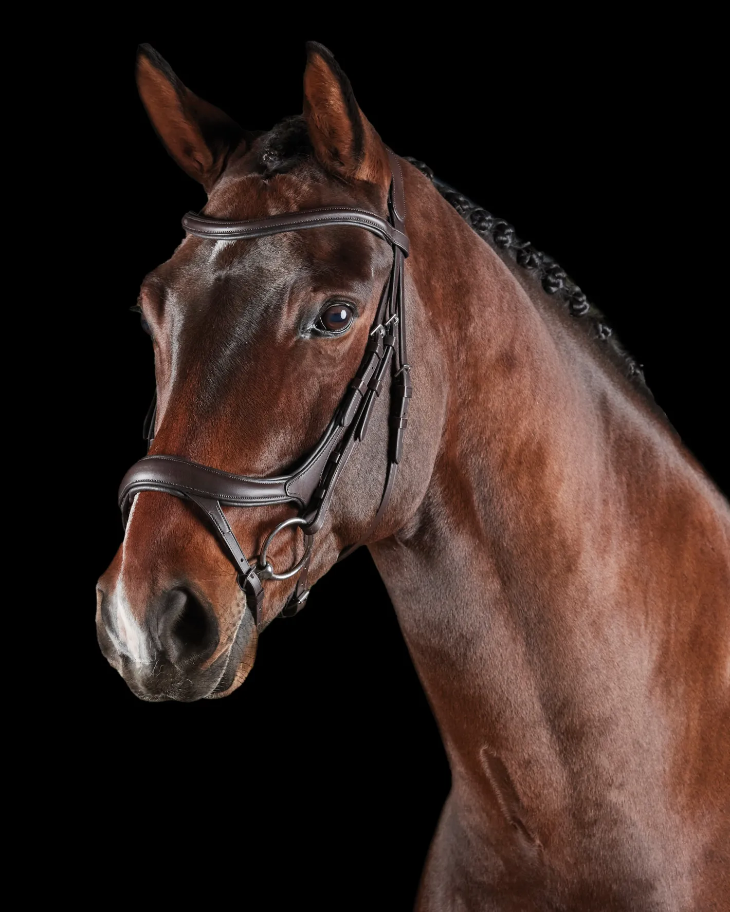 WEATHERBEETA Collegiate® ComFiTec™ Vogue Anatomic Bridle