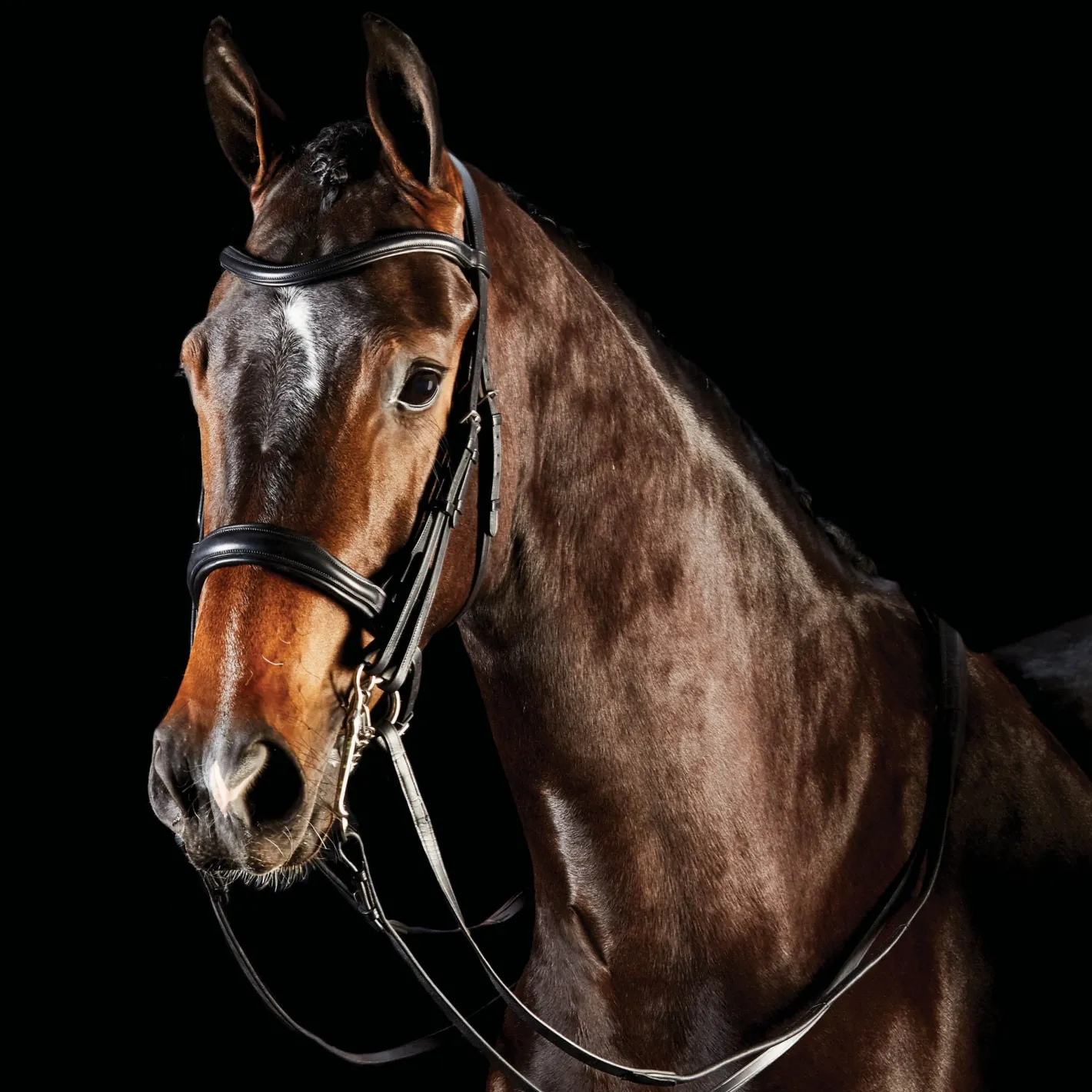 WEATHERBEETA Collegiate® ComFiTec™ Weymouth Bridle