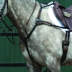WEATHERBEETA Collegiate® Essential 5-Point Breastplate