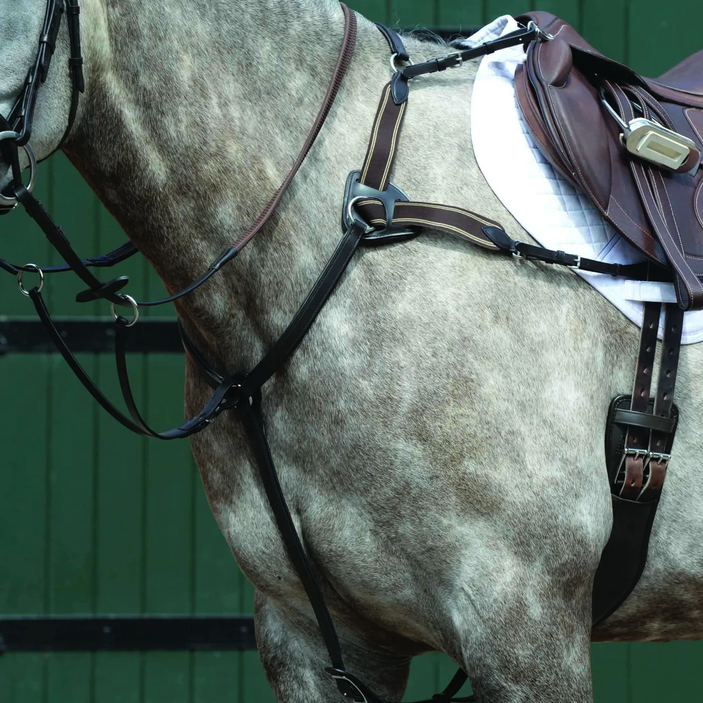 WEATHERBEETA Collegiate® Essential 5-Point Breastplate