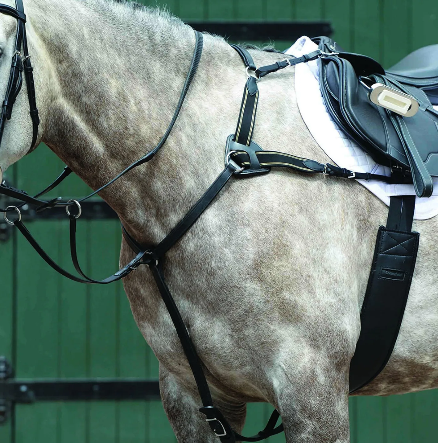 WEATHERBEETA Collegiate® Essential 5-Point Breastplate