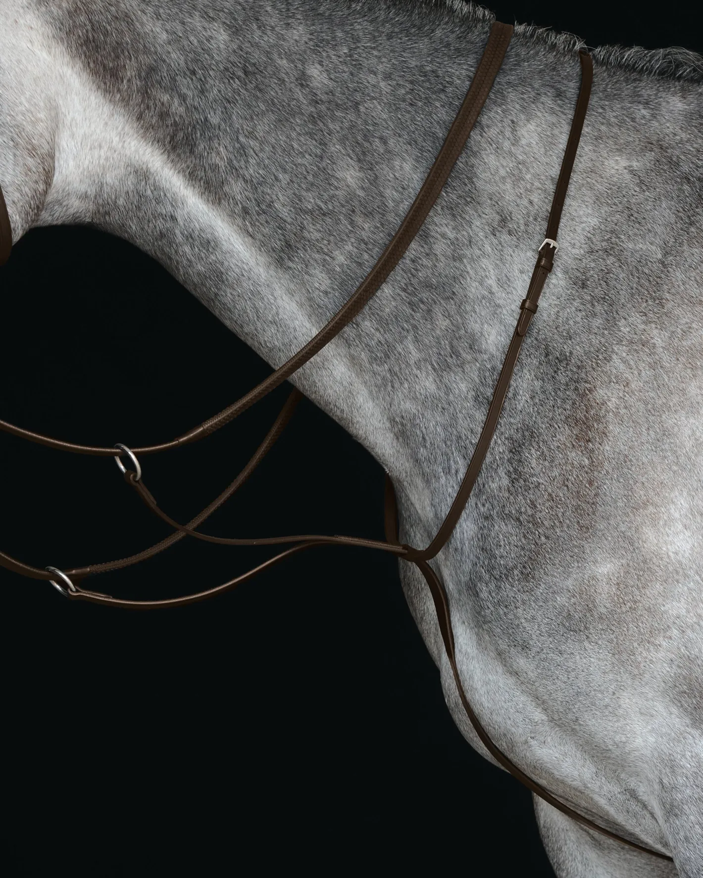 WEATHERBEETA Collegiate® Running Martingale IV