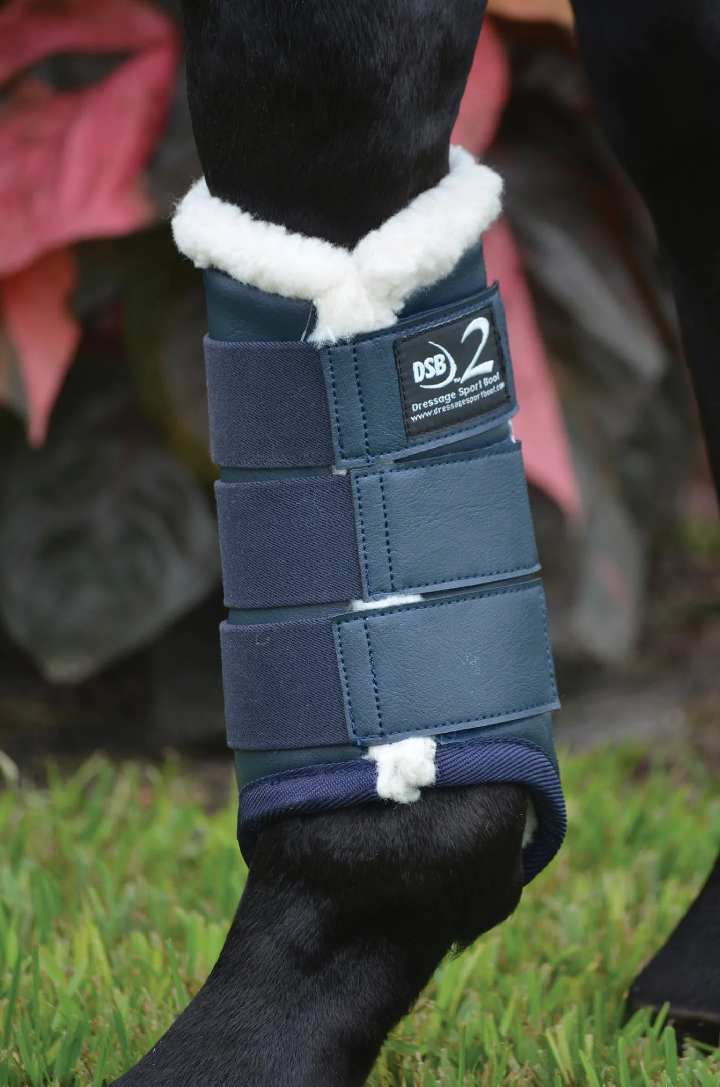 DRESSAGE SPORT BOOTS 2