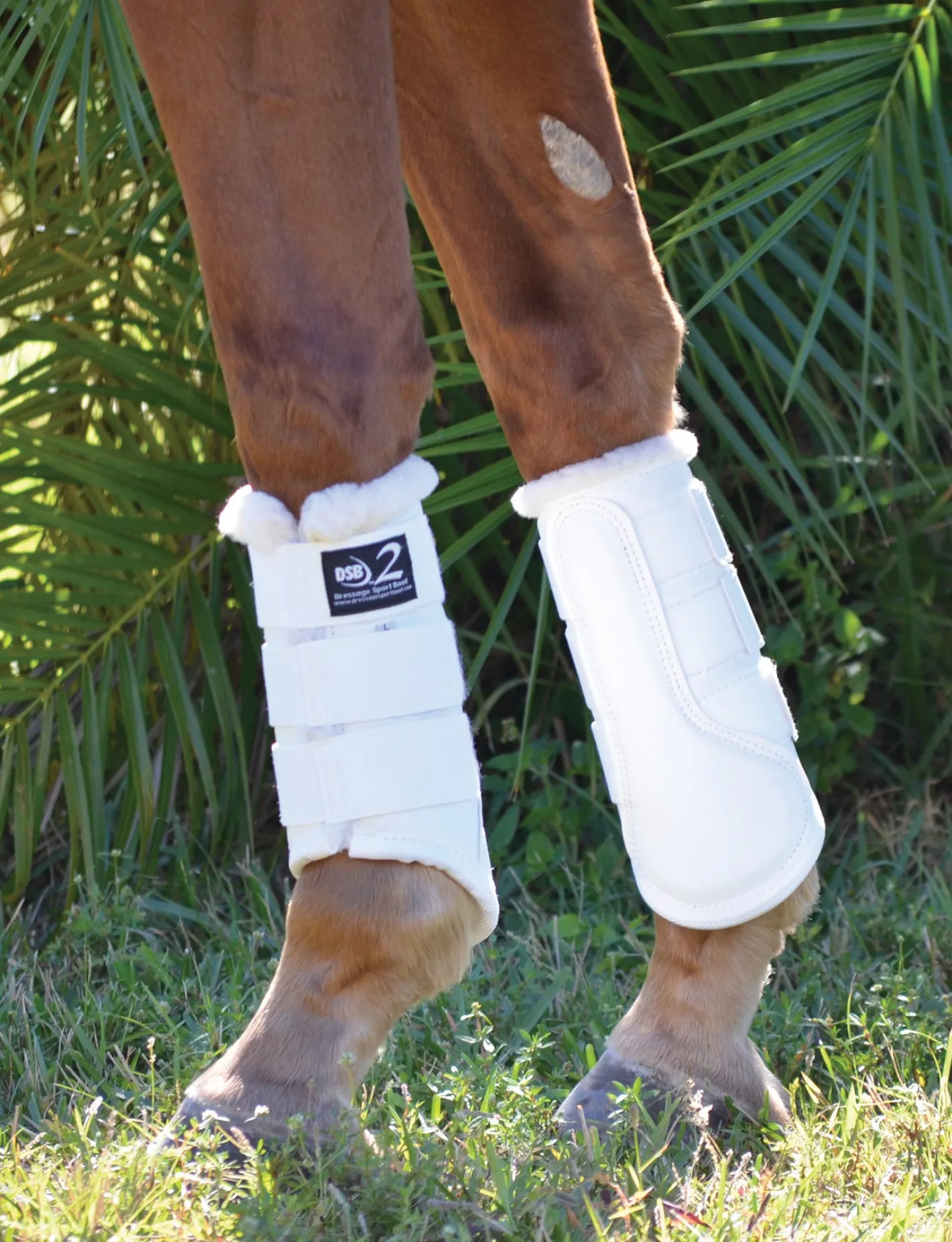DRESSAGE SPORT BOOTS 2