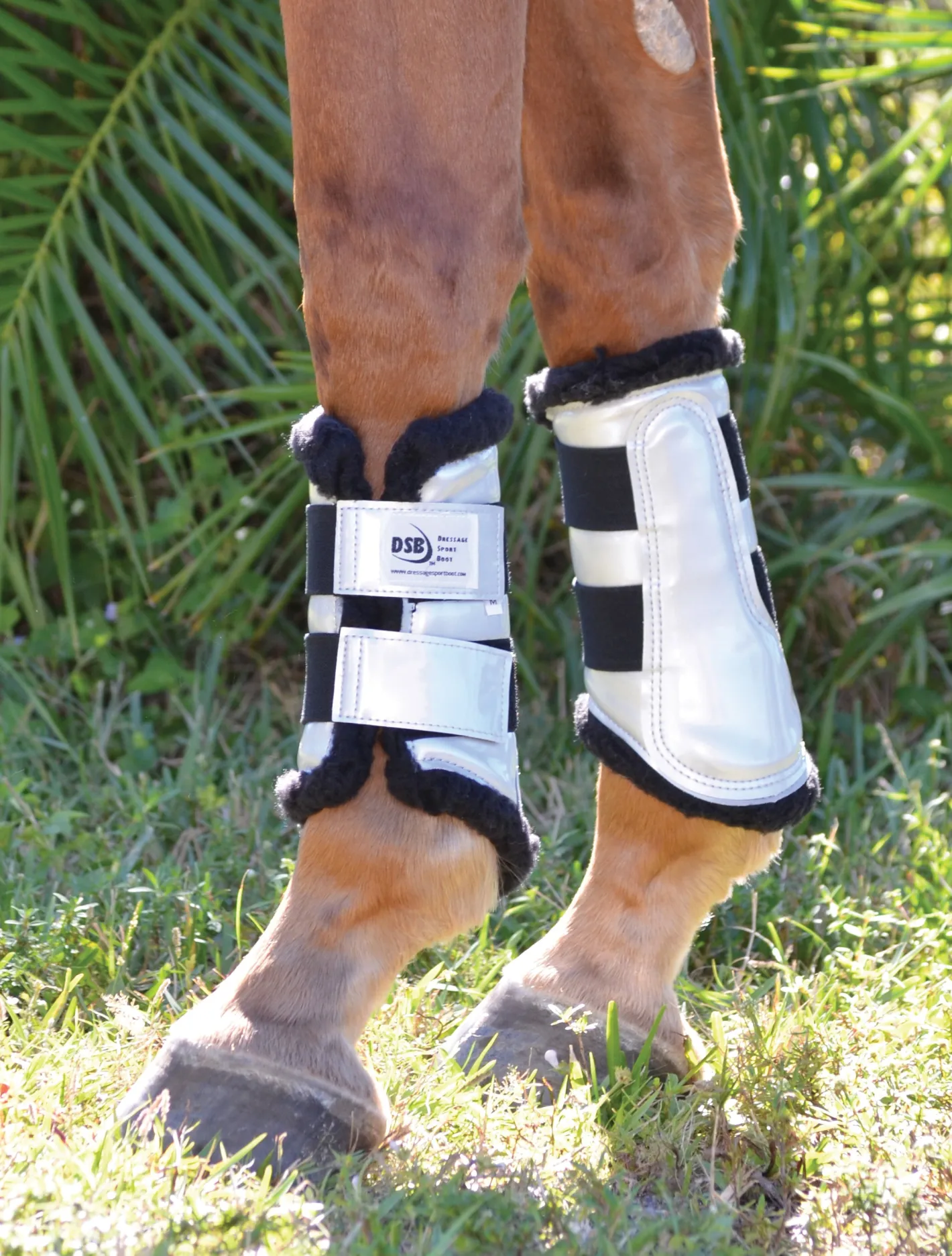 DRESSAGE SPORT BOOTS