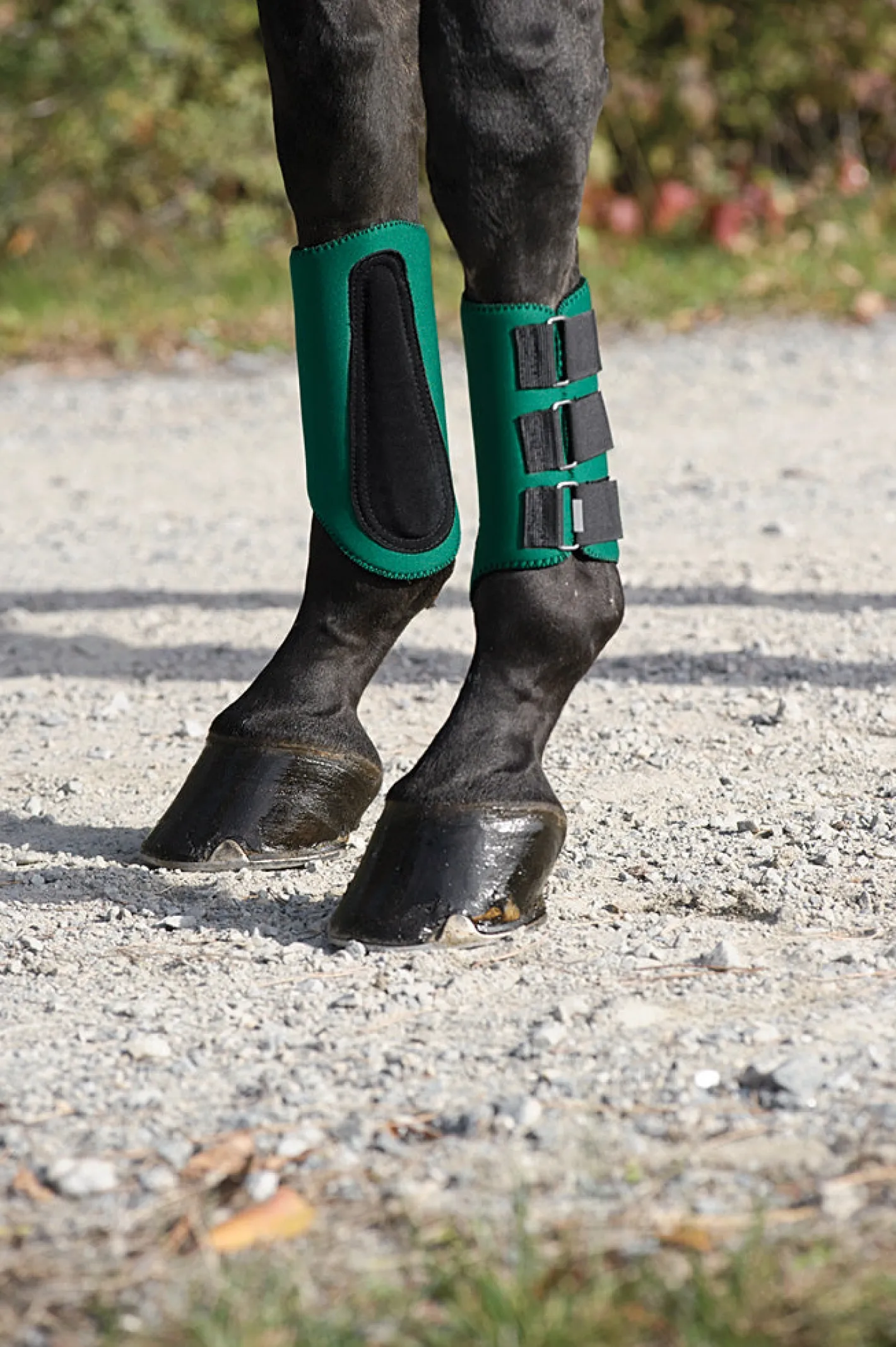 KING YOUNG DS All-Purpose Galloping Boots