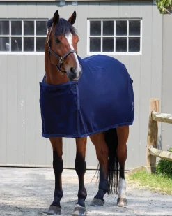 TEXT HORSE DS Awards Cooler