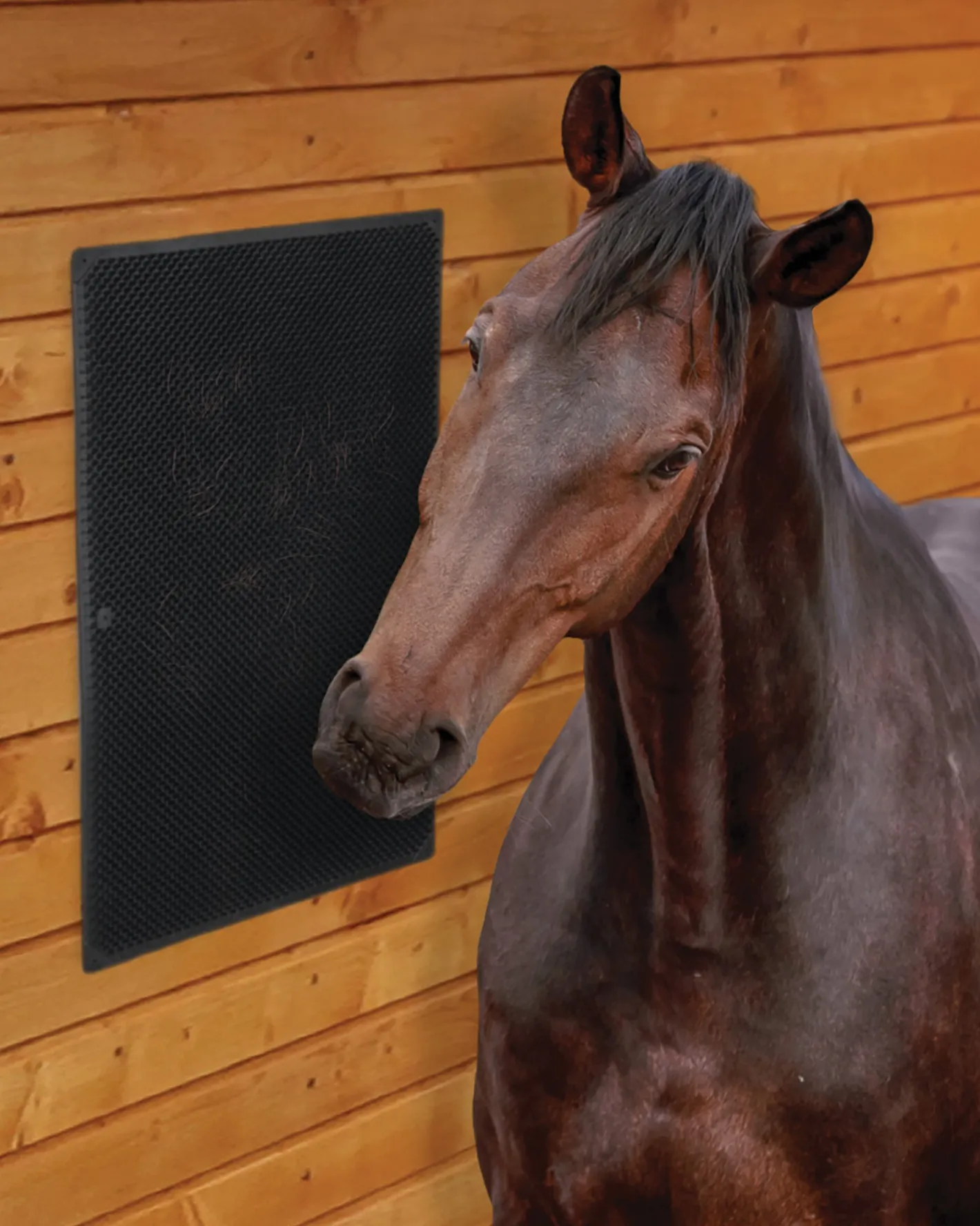 SHIVAM DS Equine Scratching Mat