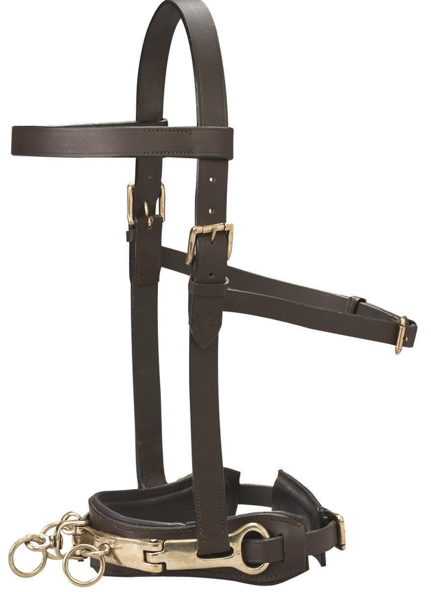 KINGS INTERNATIONAL DS Leather Lunge Caveson