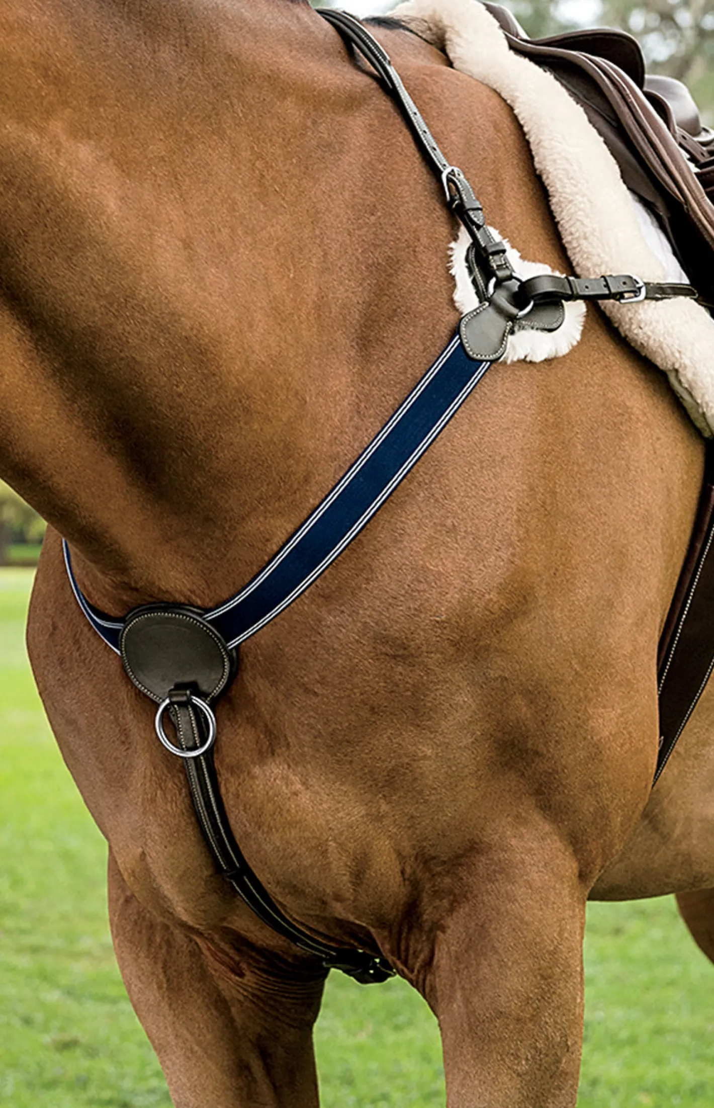 KINGS INTERNATIONAL DS 3-Point Breastplate