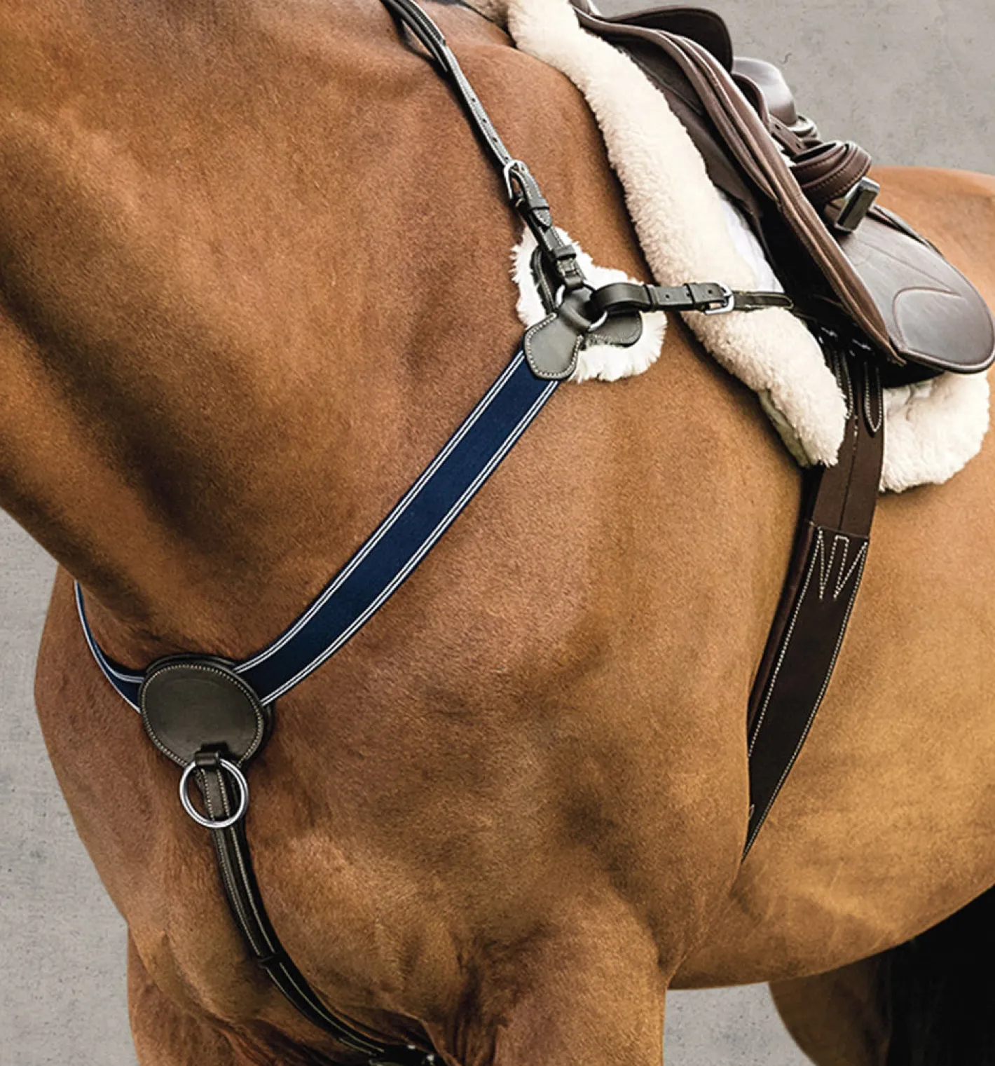 KINGS INTERNATIONAL DS 3-Point Breastplate