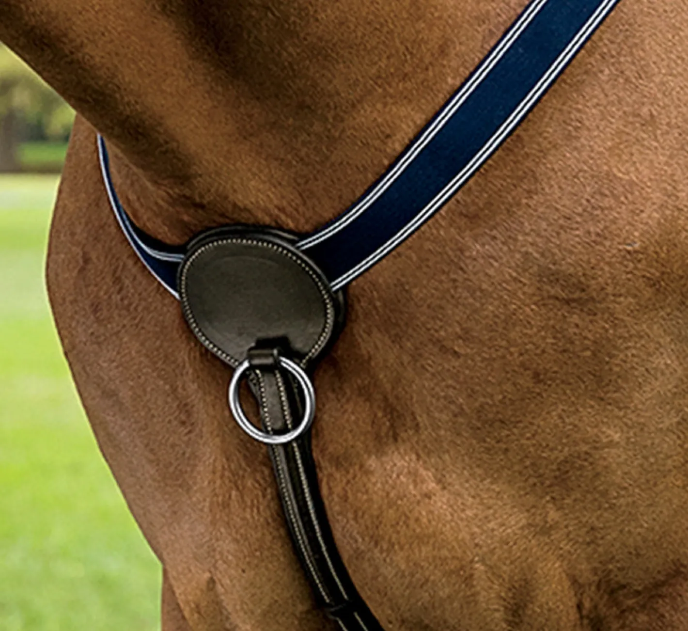 KINGS INTERNATIONAL DS 3-Point Breastplate