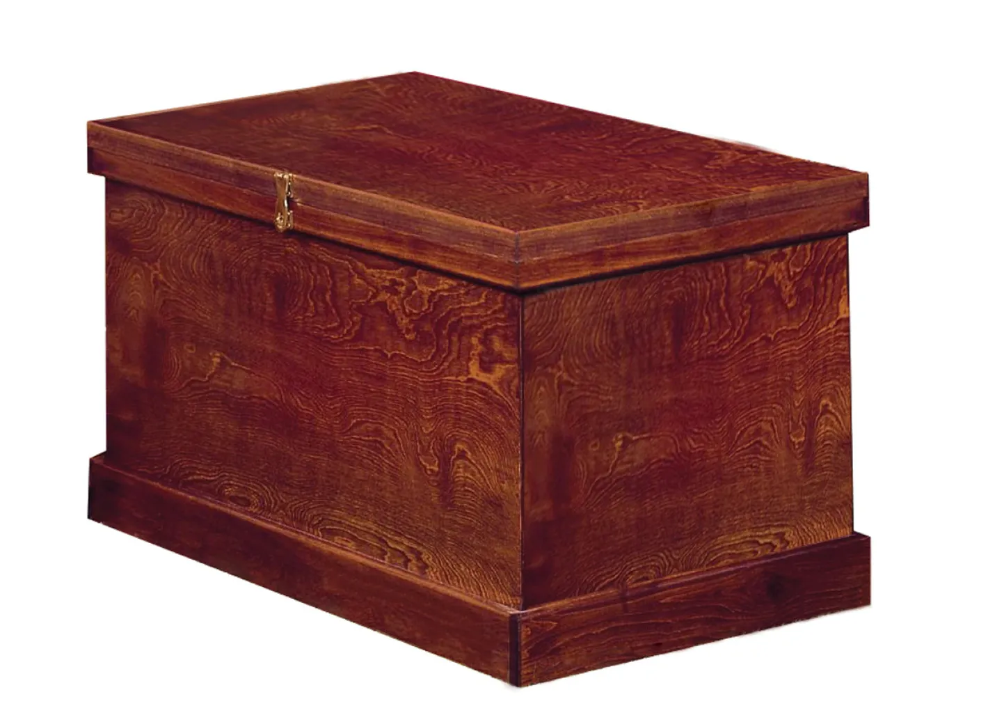 PHOENIX WEST DS Standard Show Trunk