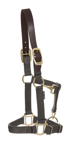 ZEETA INTERNATIONAL DS Heavy Nylon Breakaway Halter