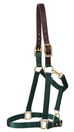 ZEETA INTERNATIONAL DS Heavy Nylon Breakaway Halter