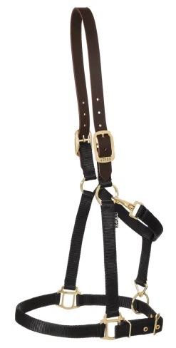 ZEETA INTERNATIONAL DS Heavy Nylon Breakaway Halter