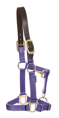 ZEETA INTERNATIONAL DS Heavy Nylon Breakaway Halter