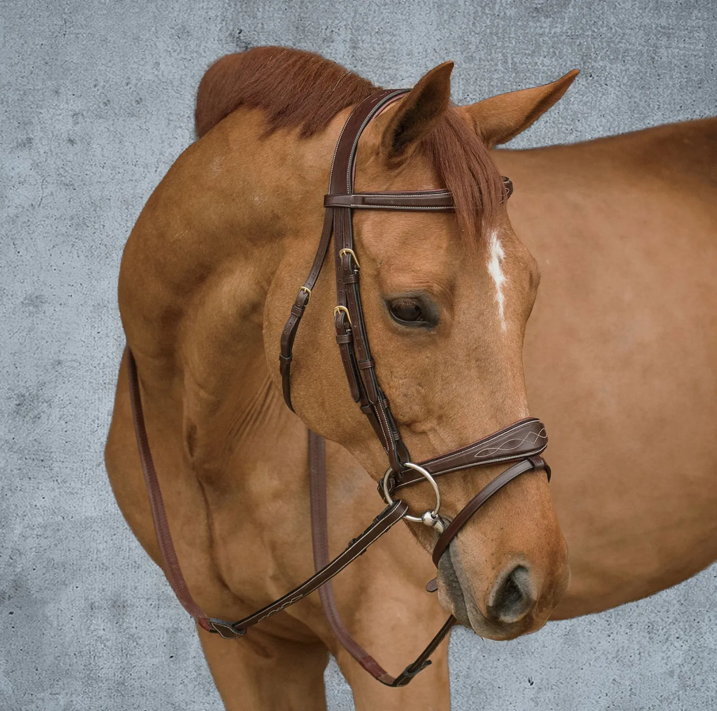 KENTUCKY HORSEWEAR Dy'on® Anatomic Bridle