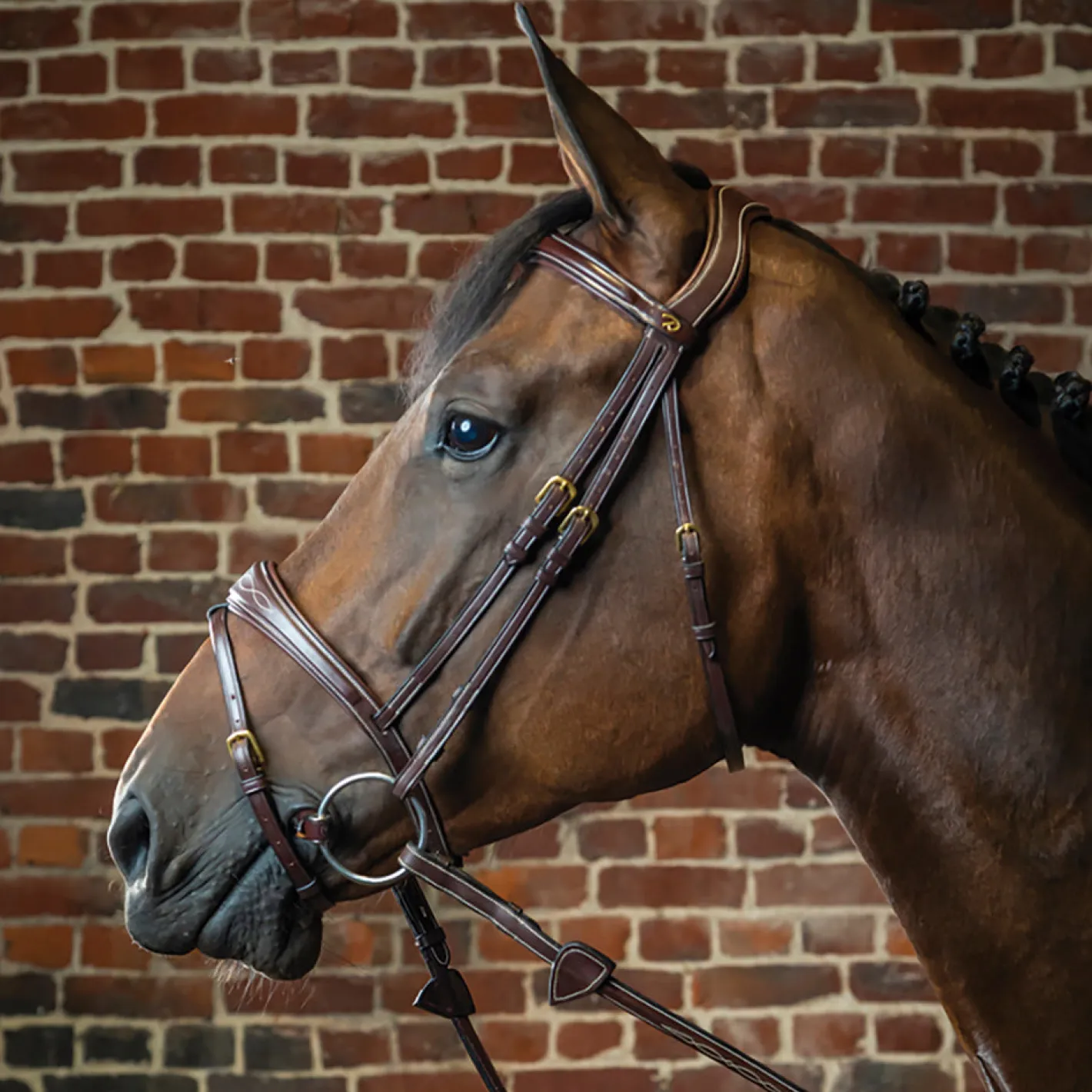KENTUCKY HORSEWEAR Dy'on® Anatomic Bridle