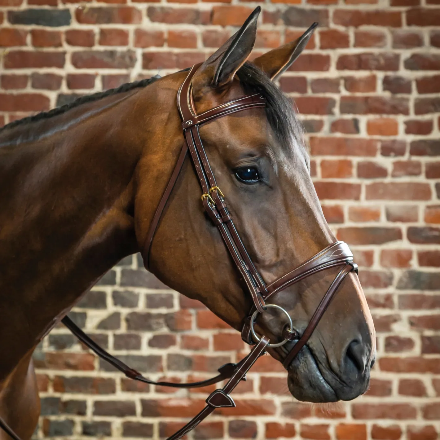 KENTUCKY HORSEWEAR Dy'on® Anatomic Bridle