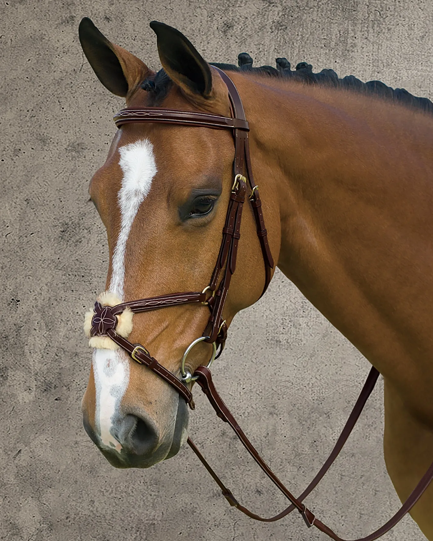 KENTUCKY HORSEWEAR Dy'on® Figure-8 Bridle