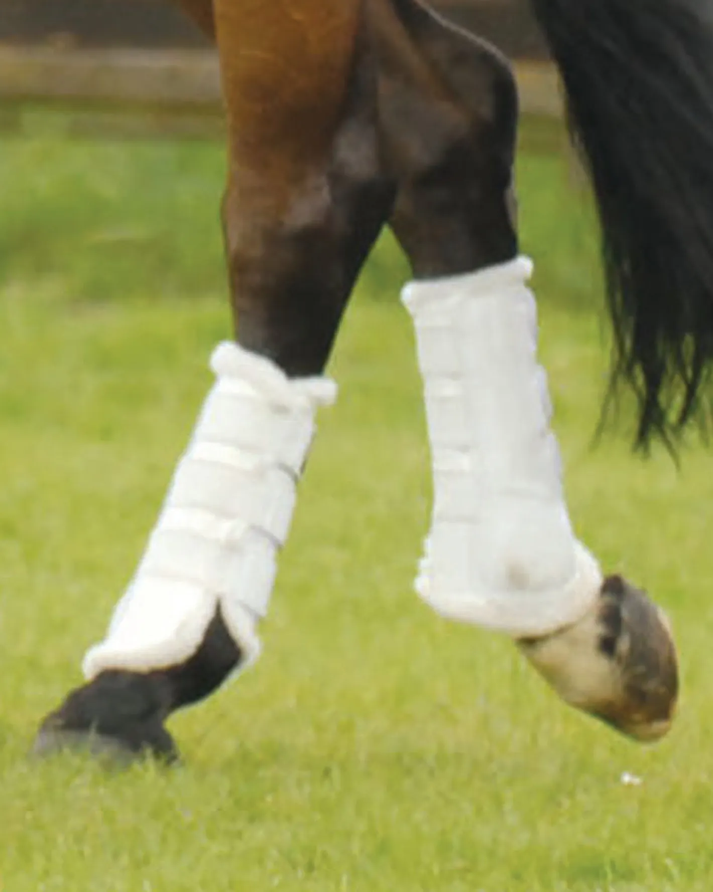 WORLD EQUSTRN BRNDS E.A. Mattes Hind Sheepskin Boots