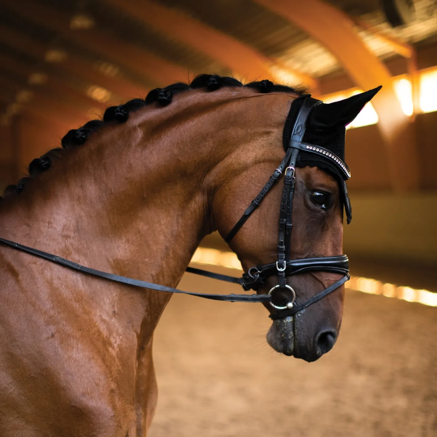 EQUESTRIAN STOCKHOLM Glimmer Ear Bonnet