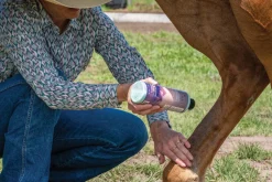 ANIMAL HEALTH INT Equiderma® Skin Lotion