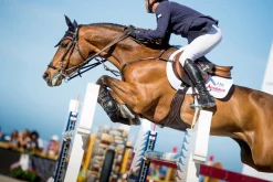 EQUIFIT ® Anatomical BellyGuard Girth with T-Foam™ Liner