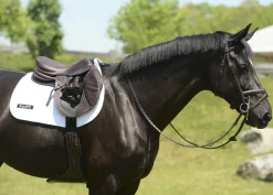 EQUIFIT ® Anatomical BellyGuard Girth with SheepsWool™ T-Foam Liner