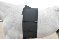 EQUIFIT ® BellyBand™