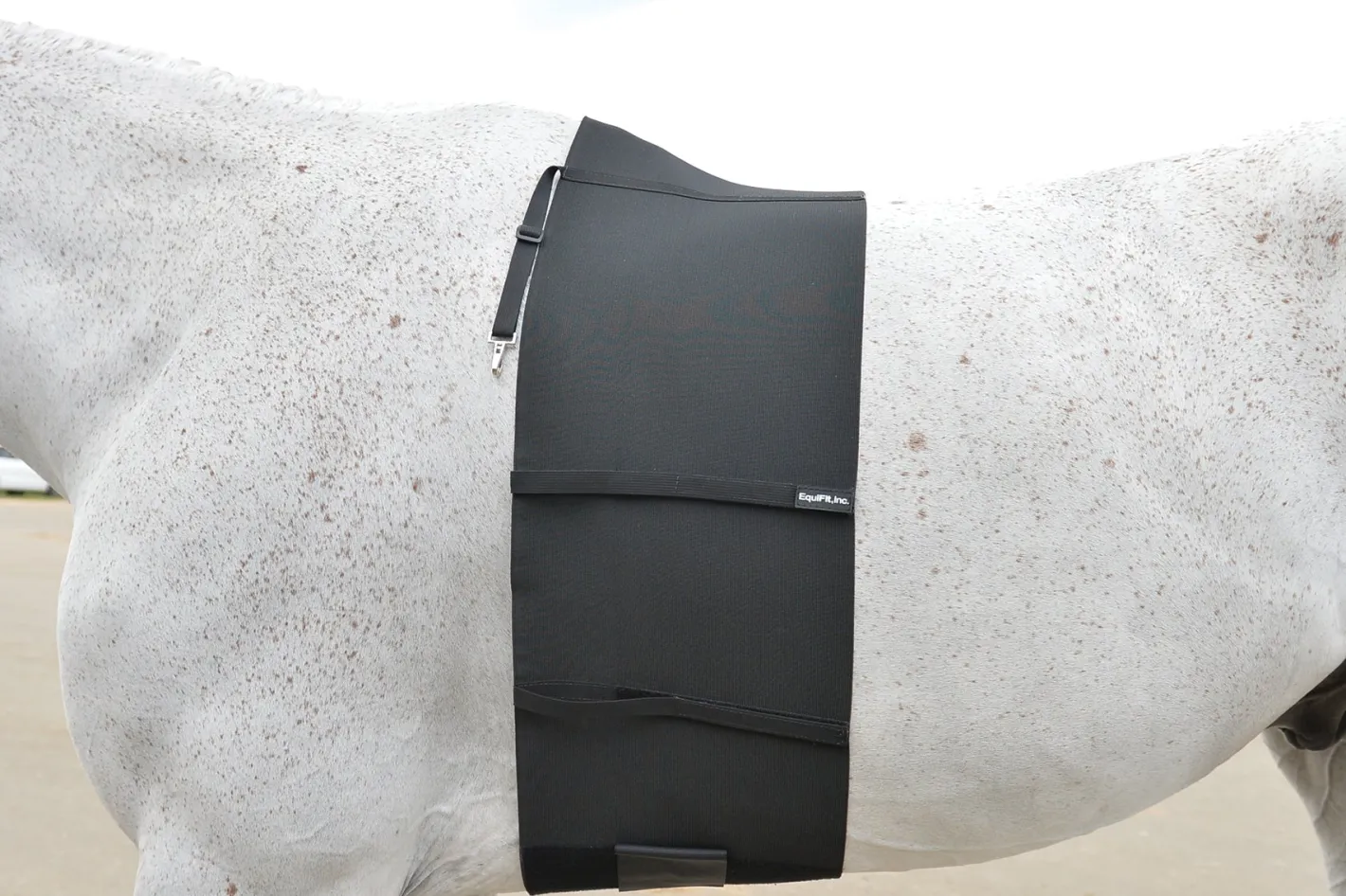 EQUIFIT ® BellyBand™