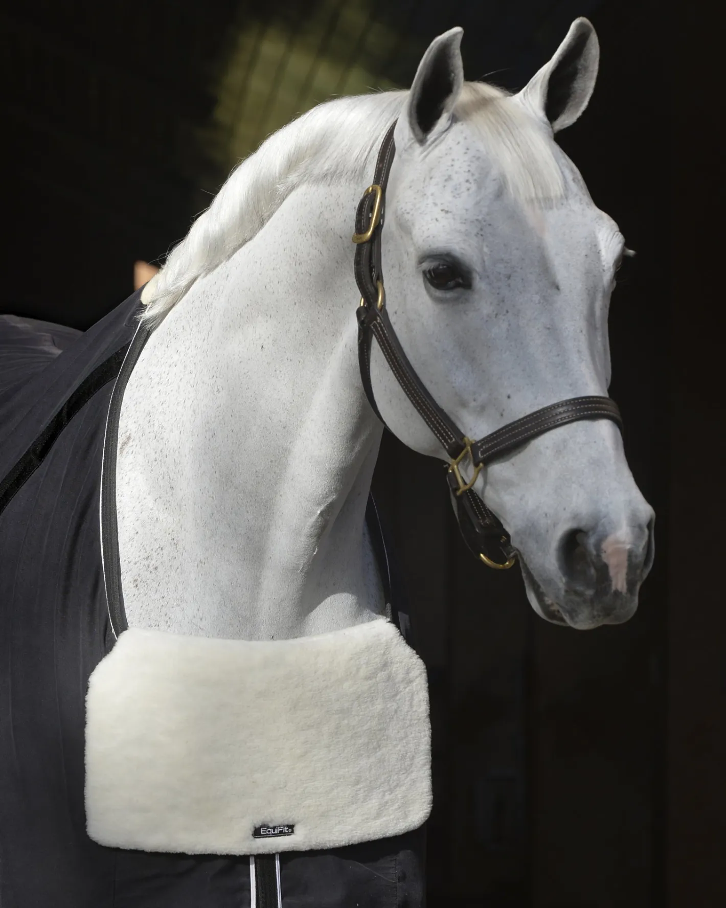 EQUIFIT ® BlanketBib