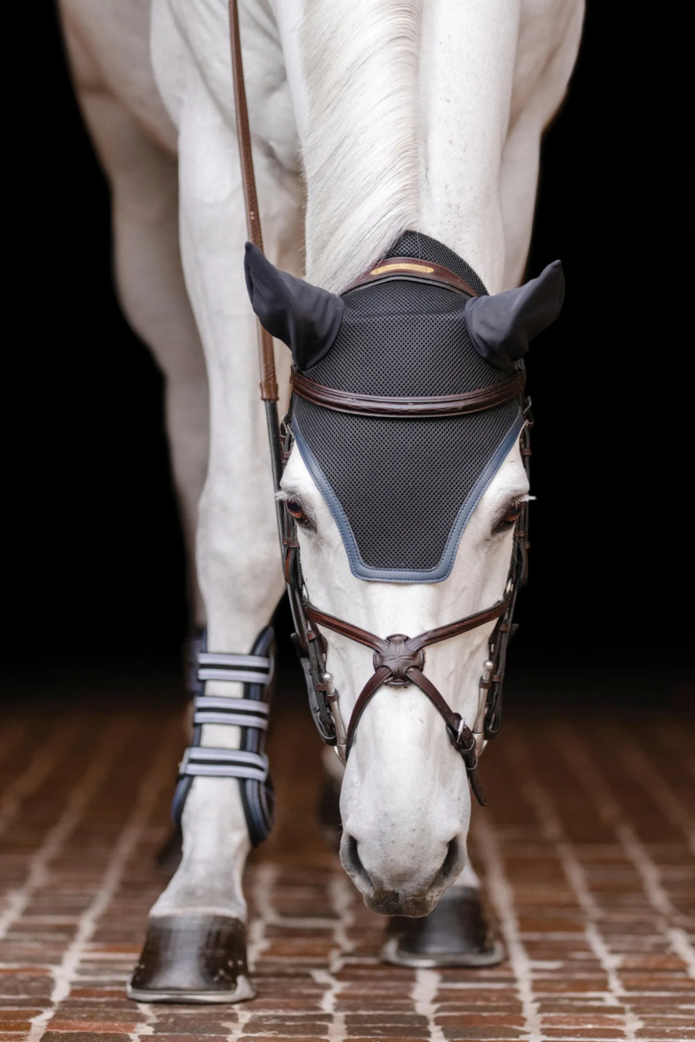EQUIFIT ® Ear Bonnet with Colored Trim and No Logo