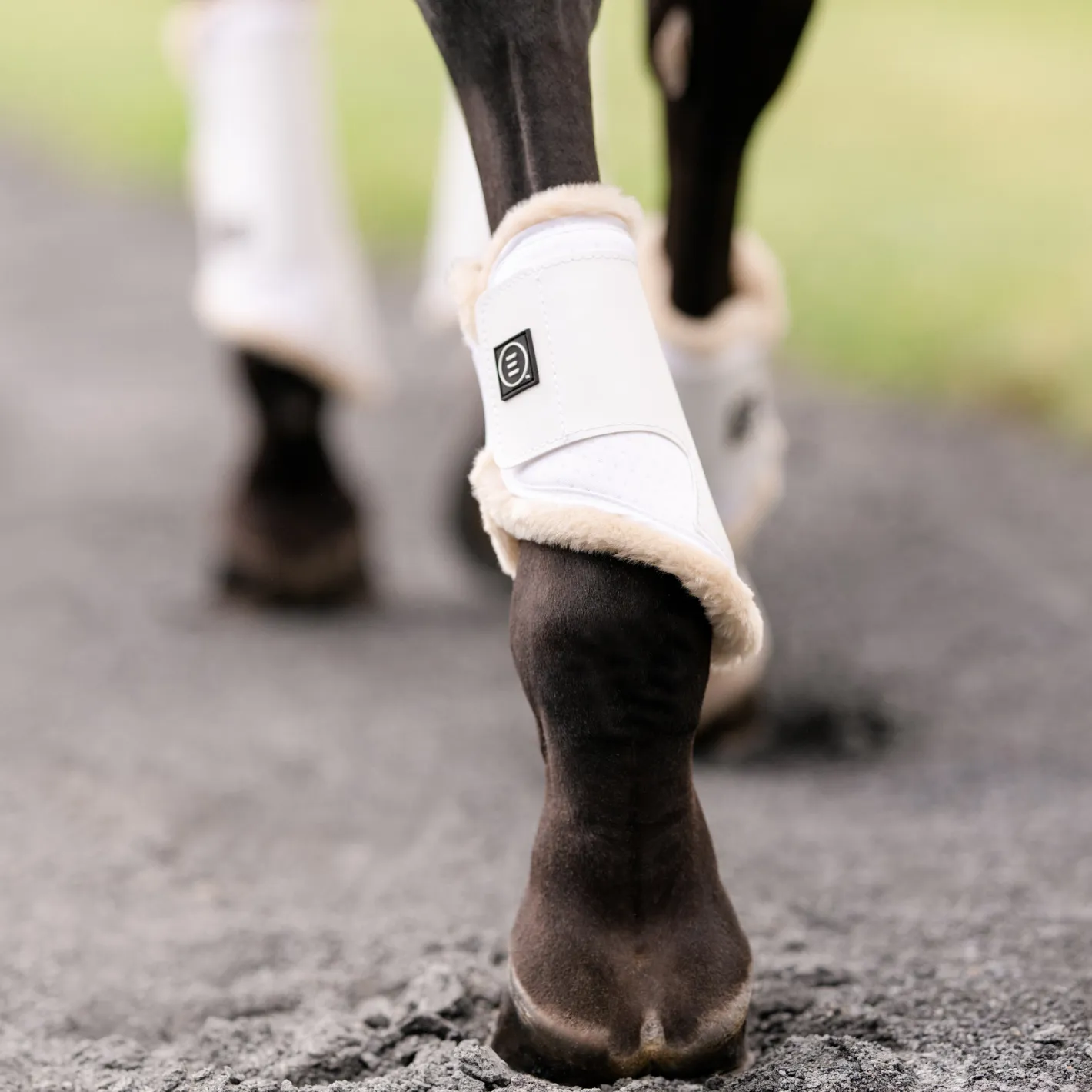 EQUIFIT ® Essential EveryDay™ Hind Boots, Vegan SheepsWool™