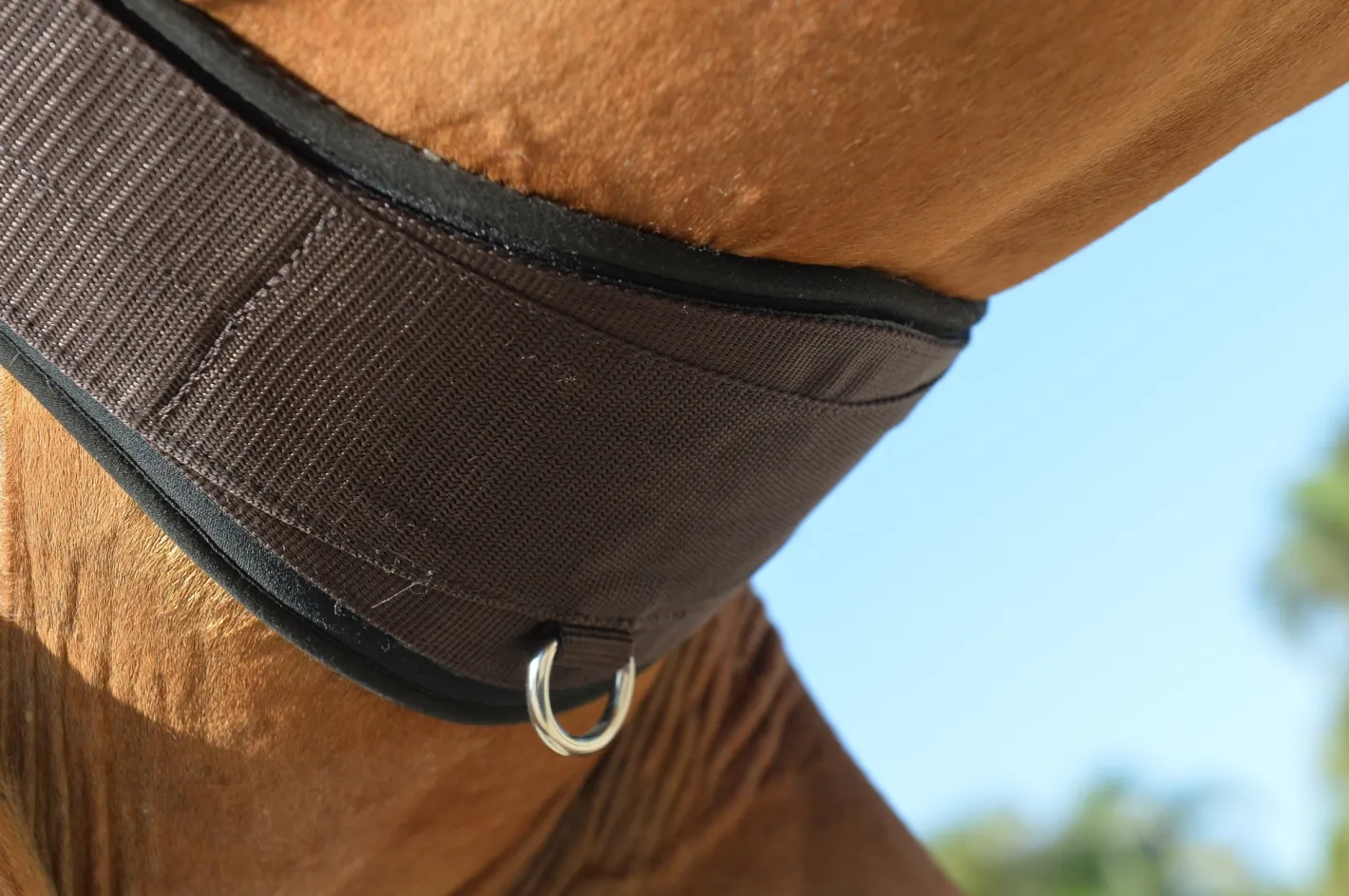 EQUIFIT ® Essential Schooling Girth with SheepsWool™ Liner