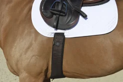 EQUIFIT ® Essential Schooling Girth with SheepsWool™ Liner