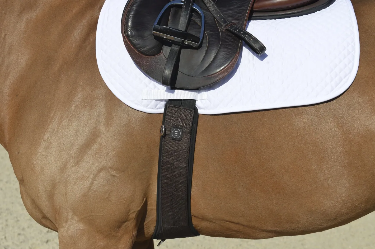 EQUIFIT ® Essential Schooling Girth with SheepsWool™ Liner