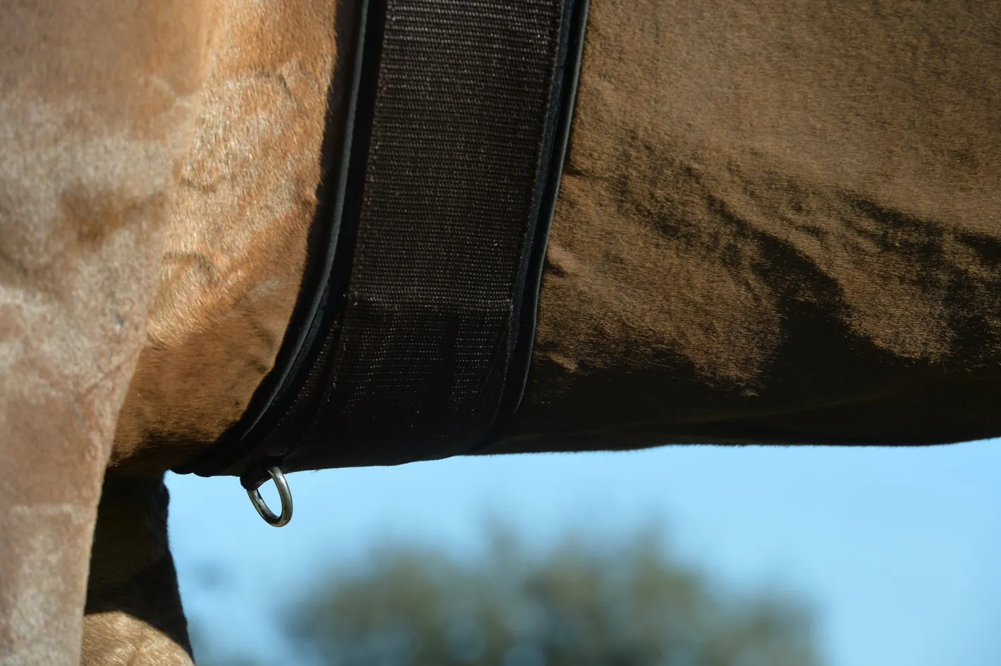 EQUIFIT ® Essential Schooling Girth with SheepsWool™ Liner