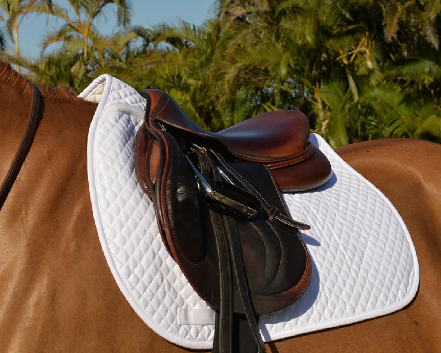 EQUIFIT ® Essential Square Pad