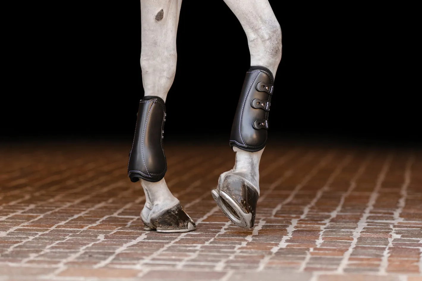 EQUIFIT ® EXP3™ Open Front Boots