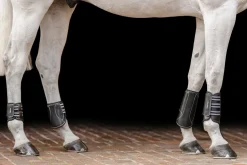 EQUIFIT ® MultiTeq Front Boots