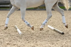 EQUIFIT ® MultiTeq SheepsWool Tall Hind Boots